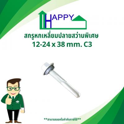 สกรูหกเหลี่ยมปลายสว่านพิเศษ 12-24x38mm C3